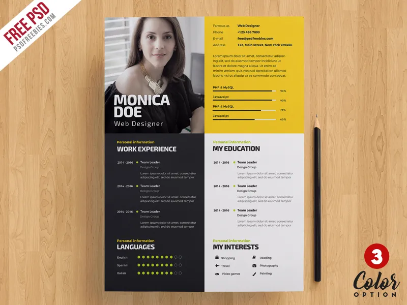 Creative Resume Template PSD Bundle