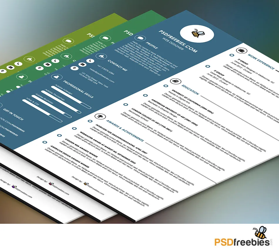 Graphic Designer Resume Template PSD
