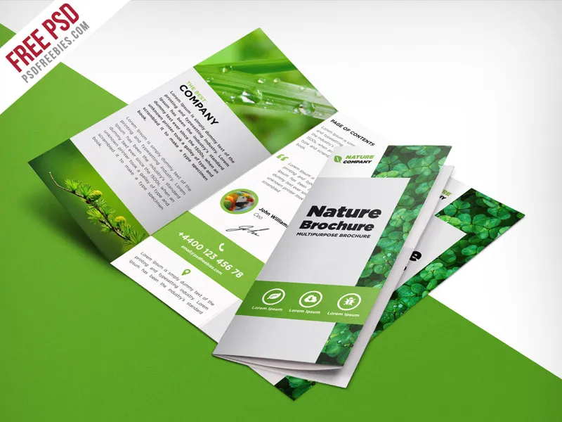 Nature Tri Fold Brochure Template Free PSD