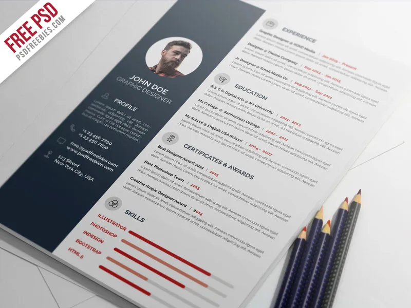 Professional Resume CV Template PSD