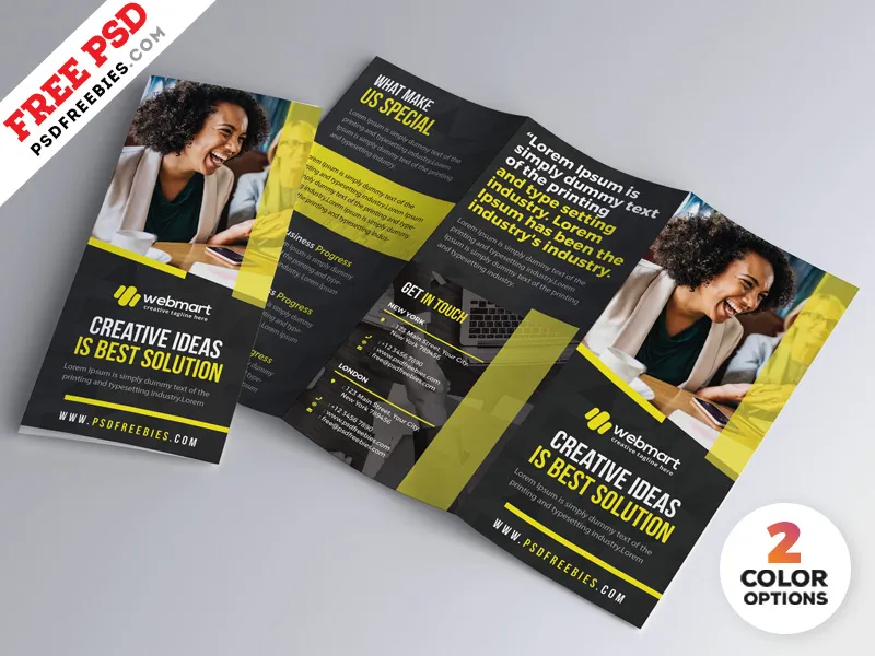 Tri-Fold Brochure Design PSD Set